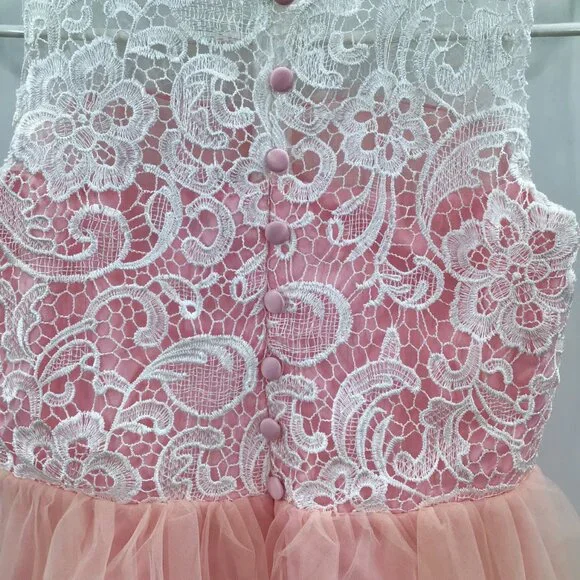 Pink Party Dress for a Princess! White Lace Tulle Ballgown Easter Flower Girl - Picture 9 of 15